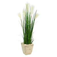 4.5ft. Wheat Plume Grass Plant in Country White Planter