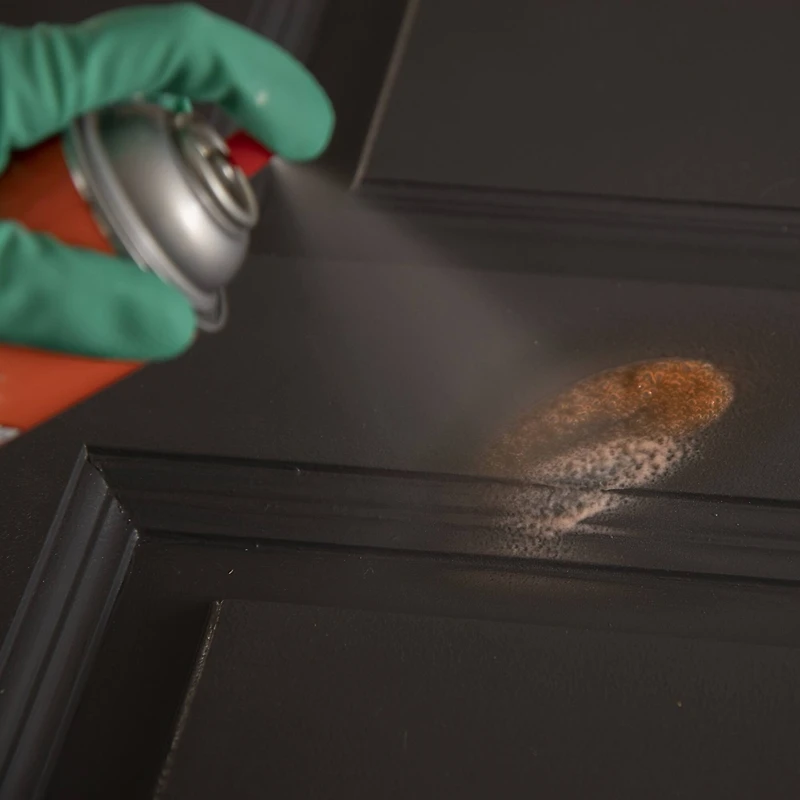 Citristrip® Paint & Varnish Stripping Gel Aerosol