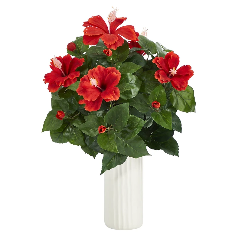 20" Hibiscus Plant in White Planter