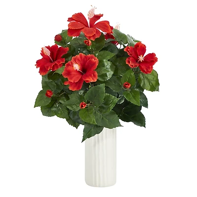 20" Hibiscus Plant in White Planter