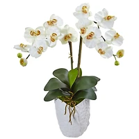 23" White Double Stem Orchid Arrangement in White Textured Vase