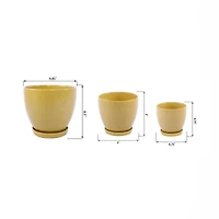 Flora Bunda® Mustard Hiero Ceramic Pot On Saucer Set, 3ct.