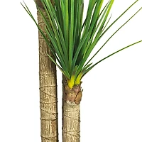 4.8ft. Potted Yucca Tree