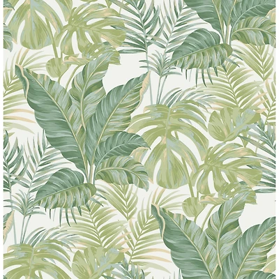 NuWallpaper Madagascar Peel & Stick Wallpaper