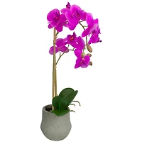 14" Purple Orchid Plant in Gray Stone Pot