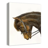 Galloping Horse 16" x 20" Canvas Wall Art