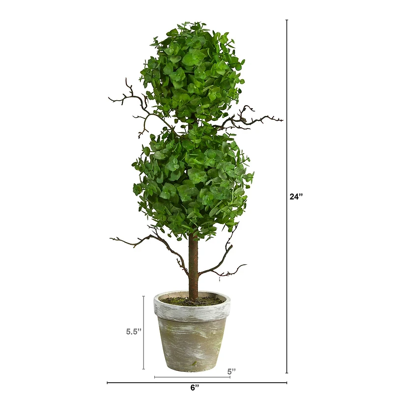 24" Potted Eucalyptus Double Ball Topiary Tree