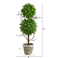 24" Potted Eucalyptus Double Ball Topiary Tree