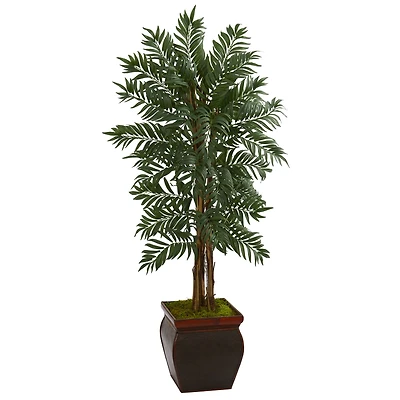 5ft. Parlor Palm Tree in Decorative Planter