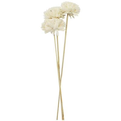 20" Natural Jasmine Sola Flowers, 3ct. by Ashland®