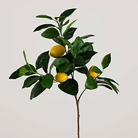 28" Lemon Branch Stems, 3ct.
