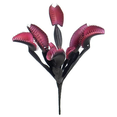 10.5" Black & Pink Venus Flytrap Bush by Ashland®