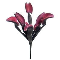 10.5" Black & Pink Venus Flytrap Bush by Ashland®