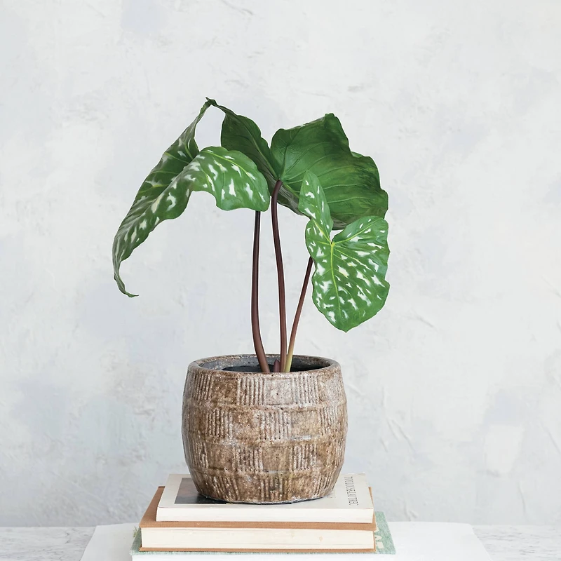 Hello Honey® 9.5" Brown Embossed Crackle Terra Cotta Planter