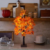 2ft. Pre-Lit Autumn Maple Artificial Fall Tree with 24 Warm White LED Lights and Detachable Base