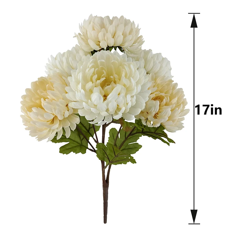 17" Mum Bush by Ashland