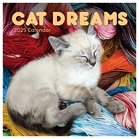 TF Publishing 2025 Cat Dreams Wall Calendar