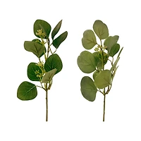 Assorted Green Eucalyptus & Berry Pick by Ashland®