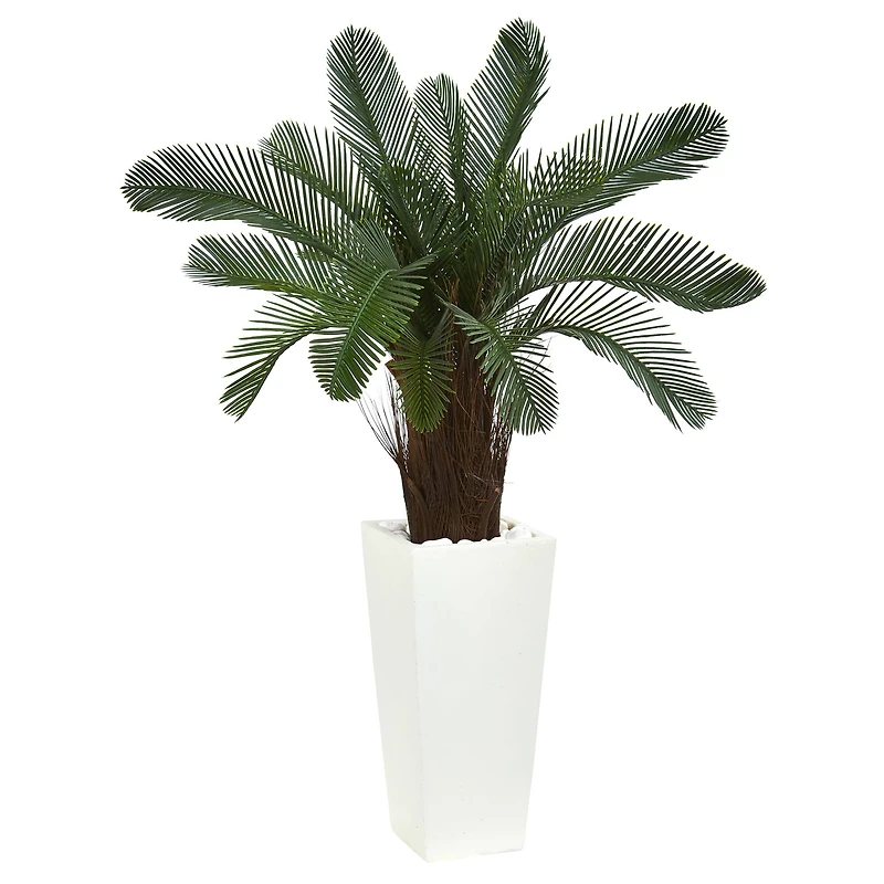 3.5ft. Cycas Tree in White Tower Planter