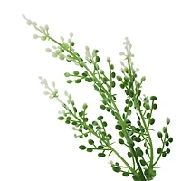 14" Berry Bush by Ashland