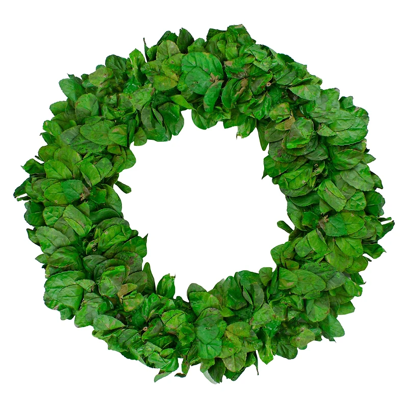 20" Lush Green Preserved Leaf Spring Garden Wreath