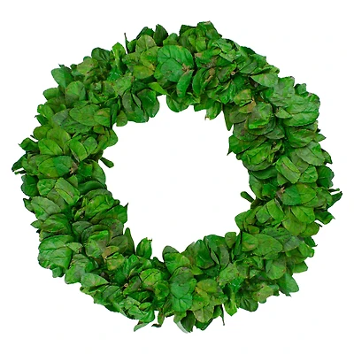 20" Lush Green Preserved Leaf Spring Garden Wreath