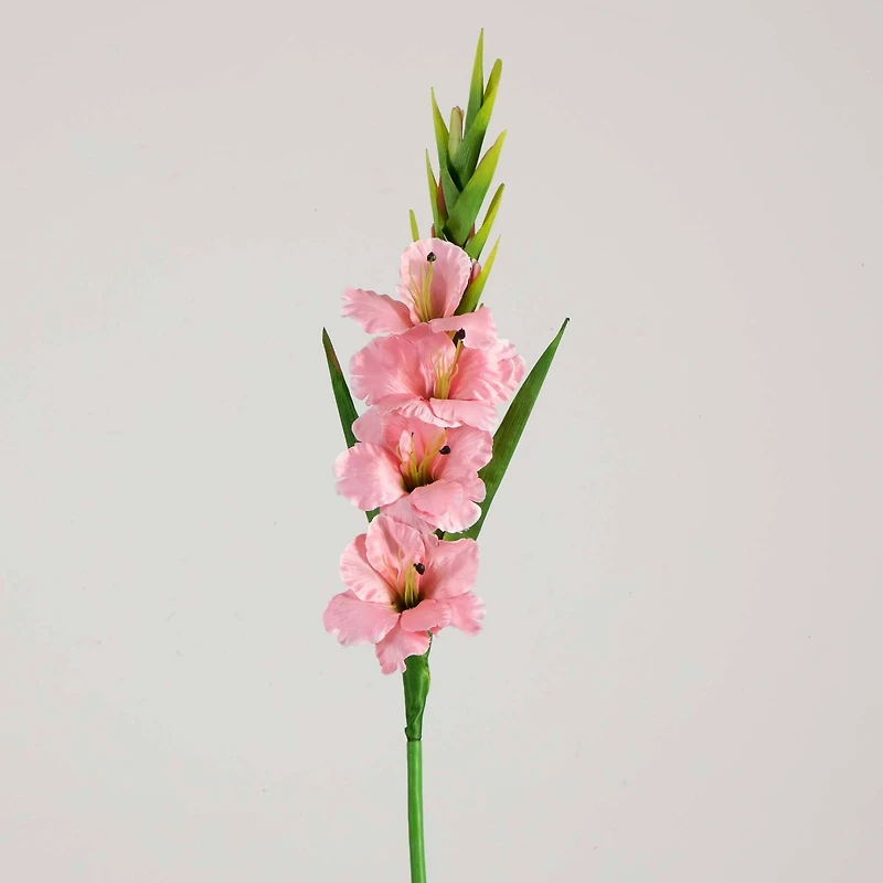 45" Pink Gladiolus Flower Stems, 3ct.
