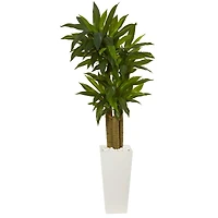 5ft. Cornstalk Dracaena Plant in White Tower Planter