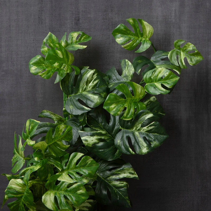 12 Pack: Split Hanging Philo Bush by Ashland®