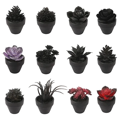 Assorted Mini Potted Succulent by Ashland®, 1pc.