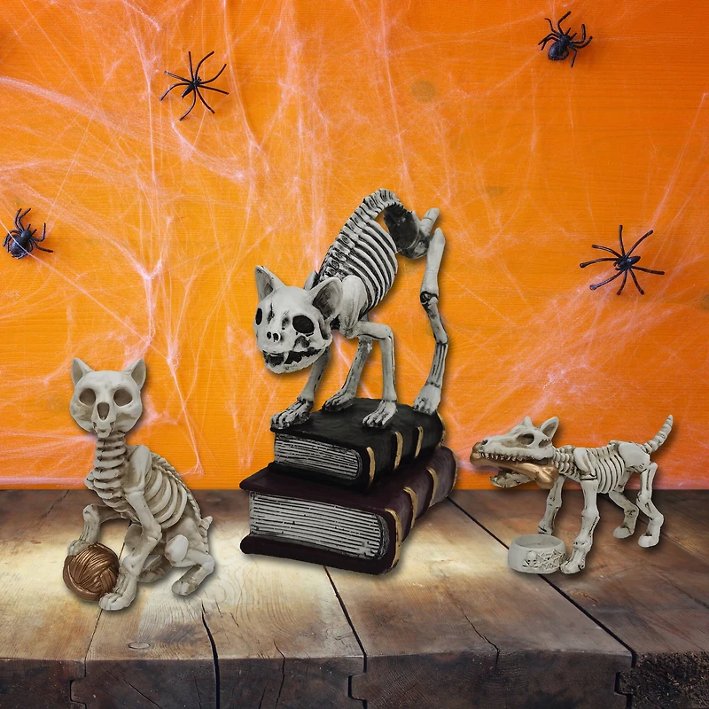 4.5" Skeleton Cat with Ball Tabletop Décor by Ashland®
