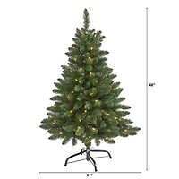 4ft. Pre-Lit Northern Rocky Spruce Artificial Christmas Tree, Clear LED Lights