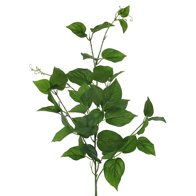 32" Scindapsus Stem by Ashland®