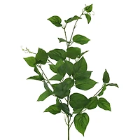 32" Scindapsus Stem by Ashland®