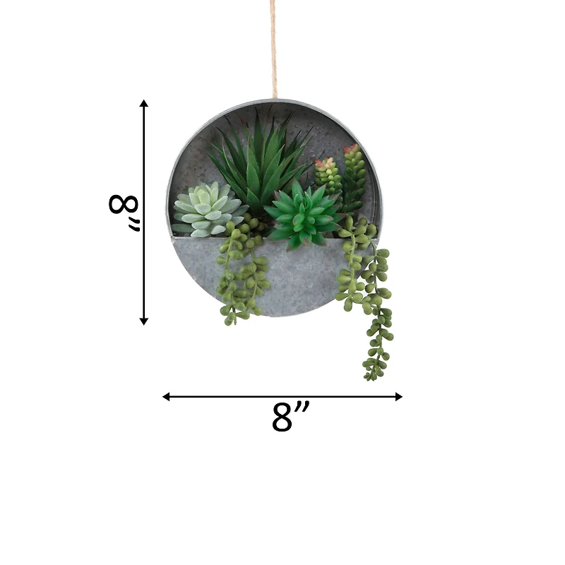 Flora Bunda® 8" Succulent in Hanging Wall Planter