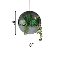 Flora Bunda® 8" Succulent in Hanging Wall Planter