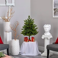 3ft. Pre-Lit North Carolina Fir Artificial Christmas Tree with Clear LED Lights