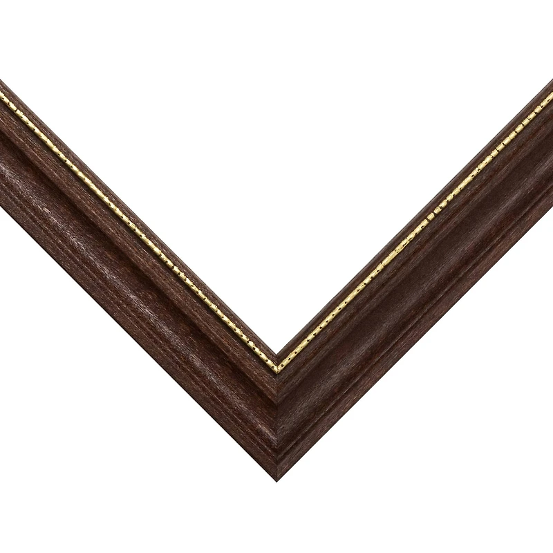 Frame USA Boardroom Walnut with Gold Bead Single Image Picture Frame