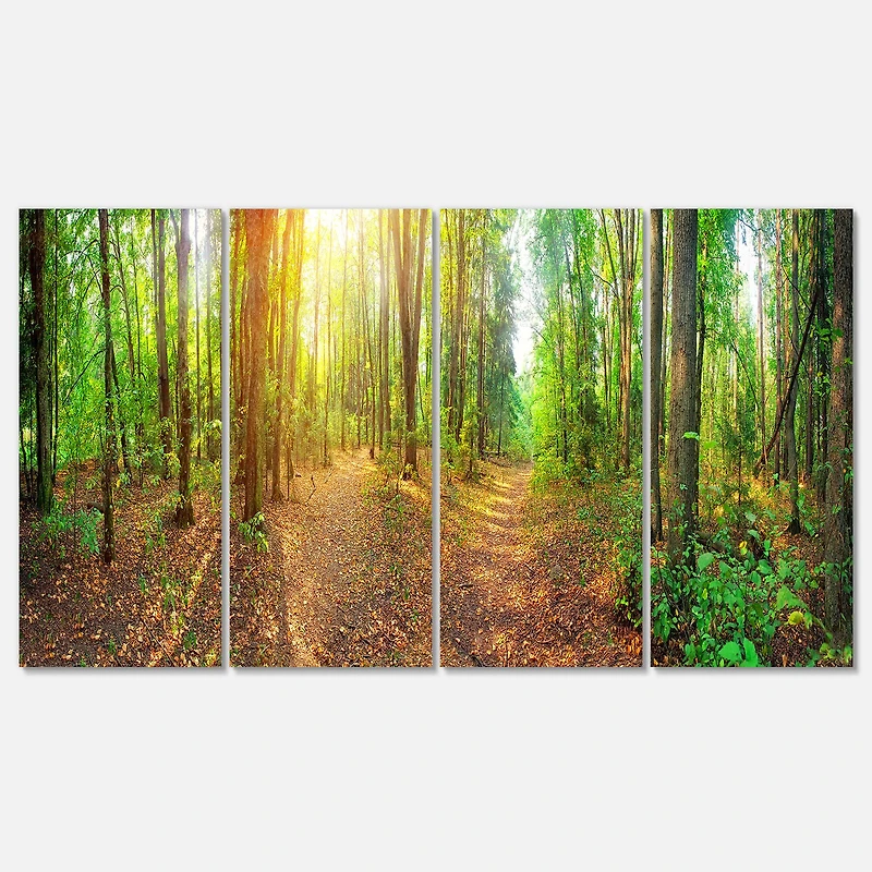 Designart - Dense Forest Panorama