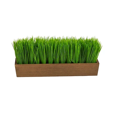 5" Grass Plant in Decorative Planter