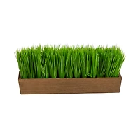 5" Grass Plant in Decorative Planter