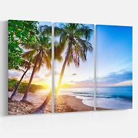 Designart - Pearl Beach in Guadeloupe