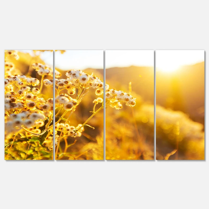 Designart - Bright Yellow Rural Garden Flowers