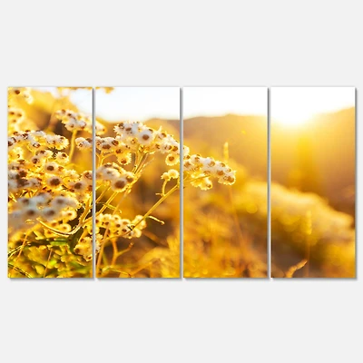 Designart - Bright Yellow Rural Garden Flowers