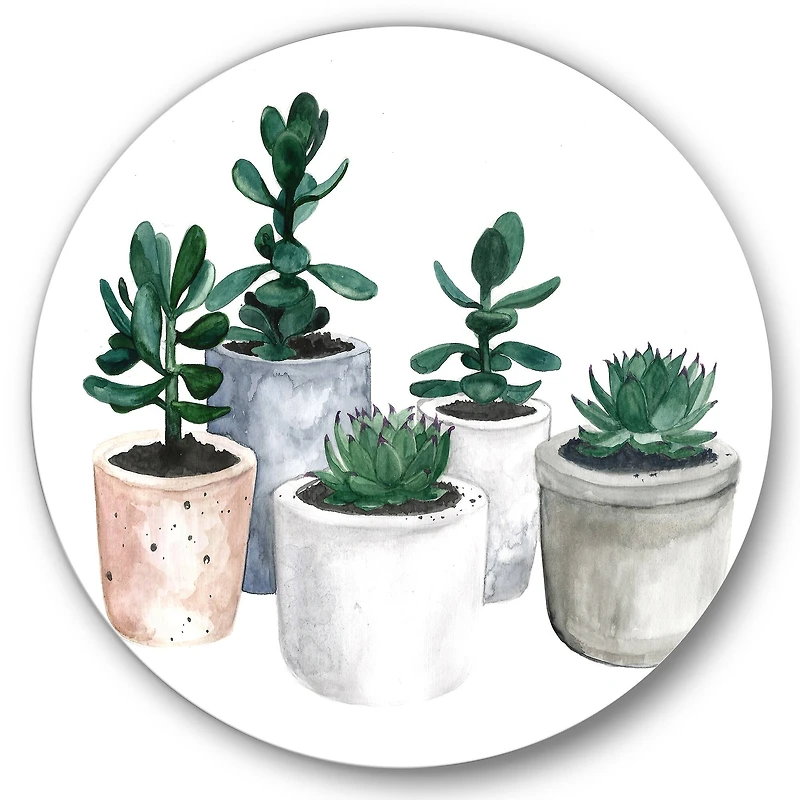 Designart - Cactus and Succulent House Plants VI
