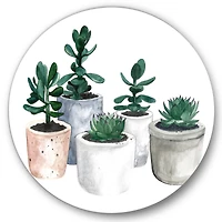 Designart - Cactus and Succulent House Plants VI