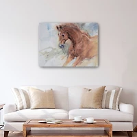 Equine Exercise Canvas Giclee