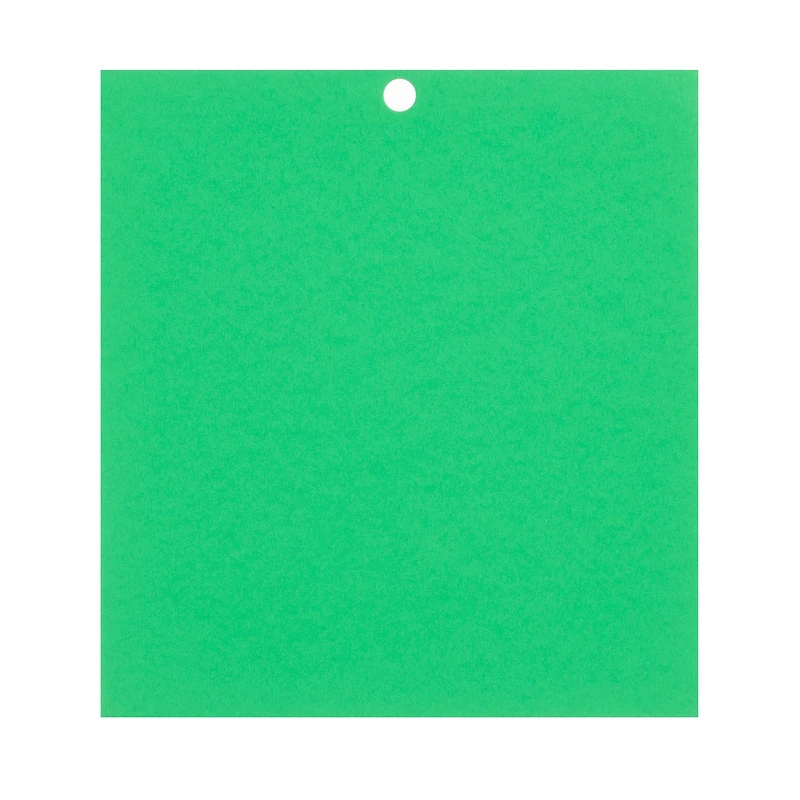Feathered Green 6" x 6.5" Cardstock Paper by Recollections™, 100 Sheets