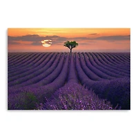 For the Love of Lavender Canvas Giclee