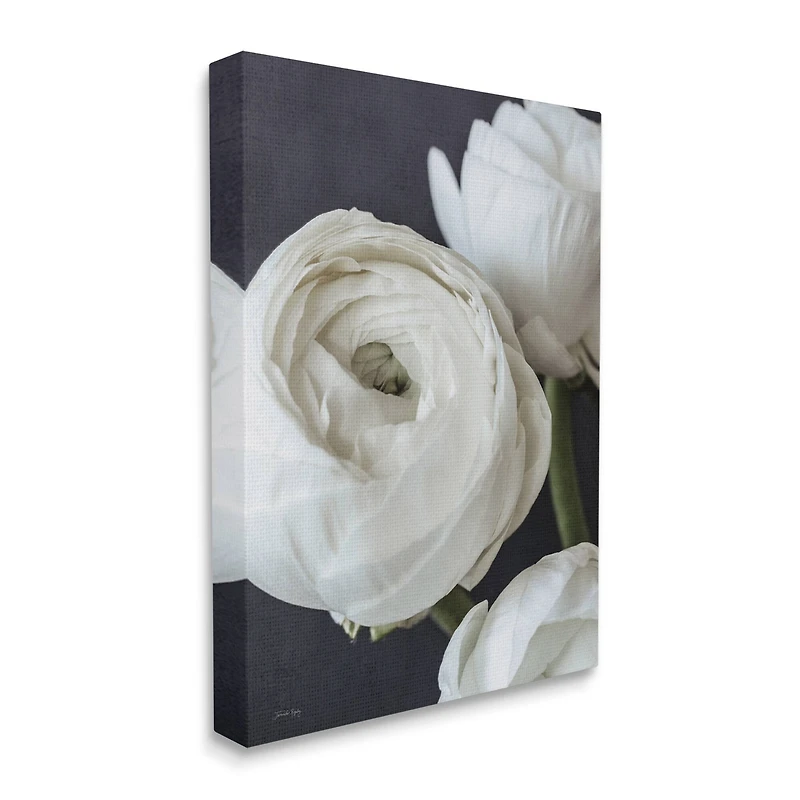 Stupell Industries Budding Ranunculus Flower Blooming Canvas Wall Art